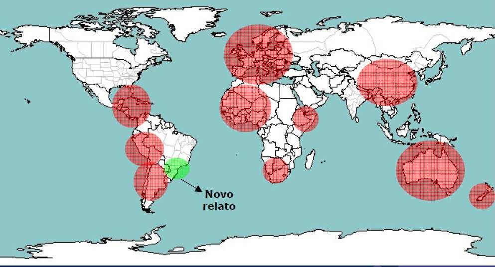 Estudo de caso: Ocorrência e epidemiologia de Mycosphaerella no sul do Brasil, em eucalipto Descrever e explicar (levantar