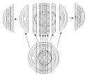 5 Figura 1. Diagrama de desdobro de toras de Pinus elliottii com diâmetros entre 8 e 24 cm.