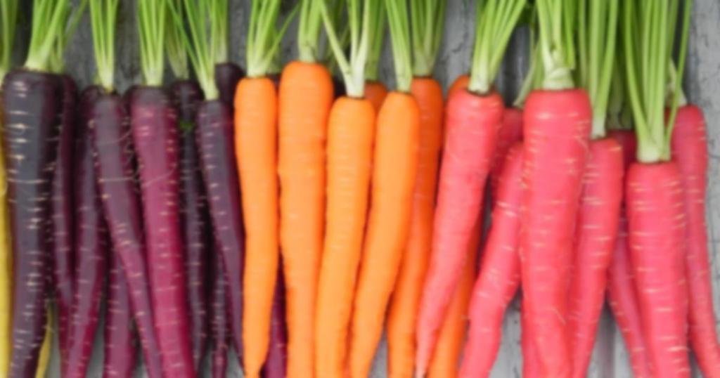 Você sabia? O beta caroteno presente na cenoura evita a formação de radicais livres pela oxidação, protegendo o DNA. Consumir cenoura todos os dias reduz em 17% o risco de desenvolver a doença.
