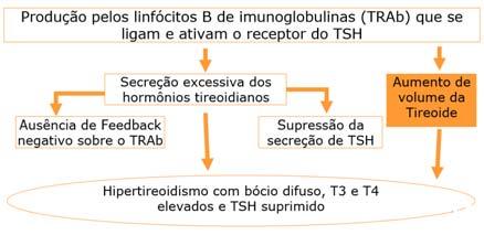 anti receptor de TSH (TRAb)