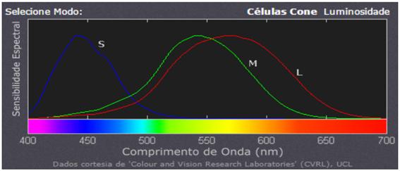 Complexidade de um Sistema Anatomia do olho humano Existem