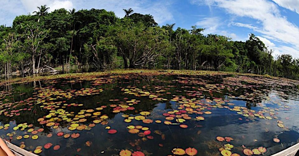 Igarapé na comunidade de Jamaraqua Dia 3 Artesanato em Urucureá e Ponta do Icuxi Pela manhã, após o café, desceremos na Comunidade de Urucureá para conhecer o trabalho artesanal da cooperativa local