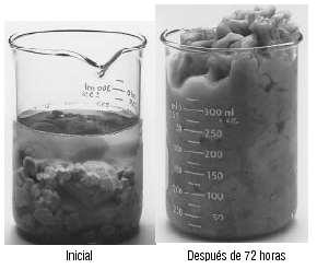 ARGILAS Em Água Em Água com