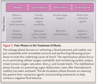 Tratamento do Choque Tratamento do Choque Identificar o tipo do choque, baseado em história clínica, parâmetros hemodinâmicos e