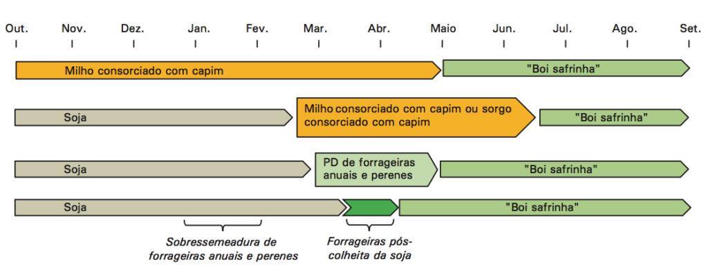 ALTERNATIVAS POTENCIAIS DE SAFRINHAS DE BOI NA ILP EM DIFERENTES REGIÕES DO CERRADO Figura 4.
