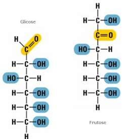 Glícidos Também designados por hidratos de carbono Compostos ternários de C, O e H.