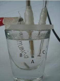25 Figura 8: Cela convencional de três eletrodos sem separação, utilizando eletrodo carbono vítreo como eletrodo de trabalho (A) (2 mm de diâmetro), fio platina como eletrodo auxiliar (B) e