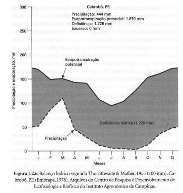 Clima mais quente e úmido Mais minerais