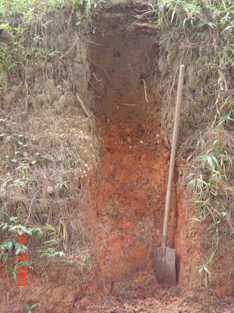 O substrato abaixo do solo pode ou não constituir seu material de origem.