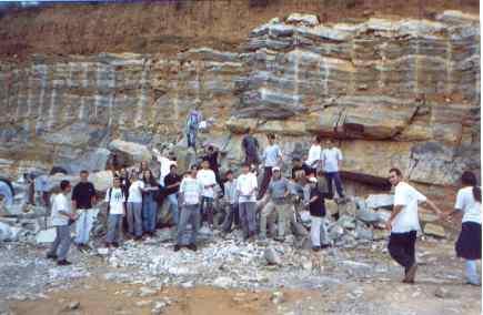 Calcário rocha sedimentar química -