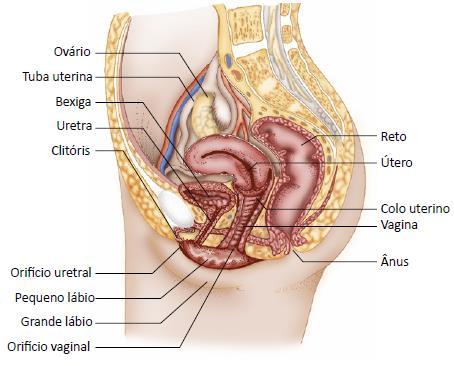 3. Sistema