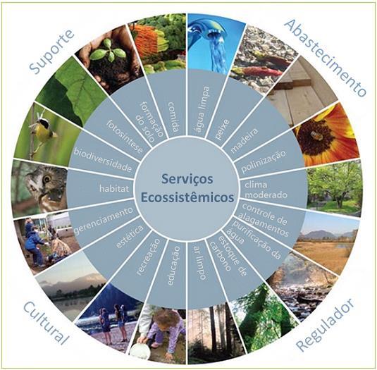 Serviços ecossistêmicos Serviços ecossistêmicos são os benefícios que as pessoas obtêm da