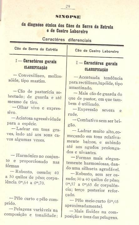 Comparação entre os estalões do cão de castro laboreiro (1935)
