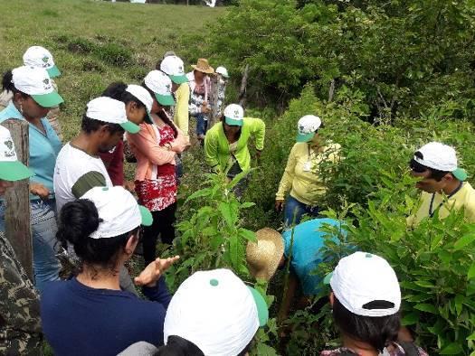 Treinamento de Atores Foram realizadas três visitas