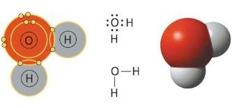 hidrogênio; Substância essencial a vida; Sua quantidade pode variar de