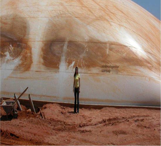 Rural Biodigestores