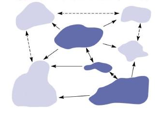 CONSEQUÊNCIAS DA FRAGMENTAÇÃO Metapopulações: Subpopulações