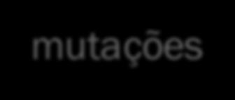 TAKE-HOME MESSAGES Mutações e recombinações podem provocar alterações genéticas nas populações, sendo as mutações muito mais lentas. Mutações são aleatórias, independentes da seleção natural.