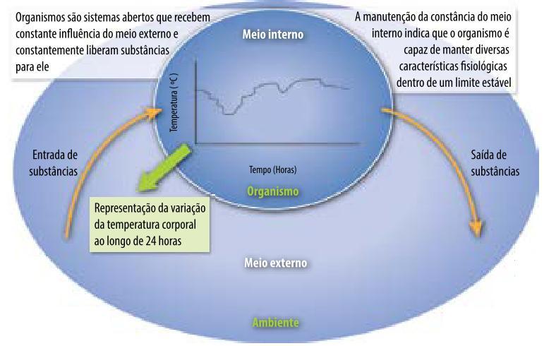 HOMEOSTASE (Do grego homeo,"igual", e stasis, "estático".