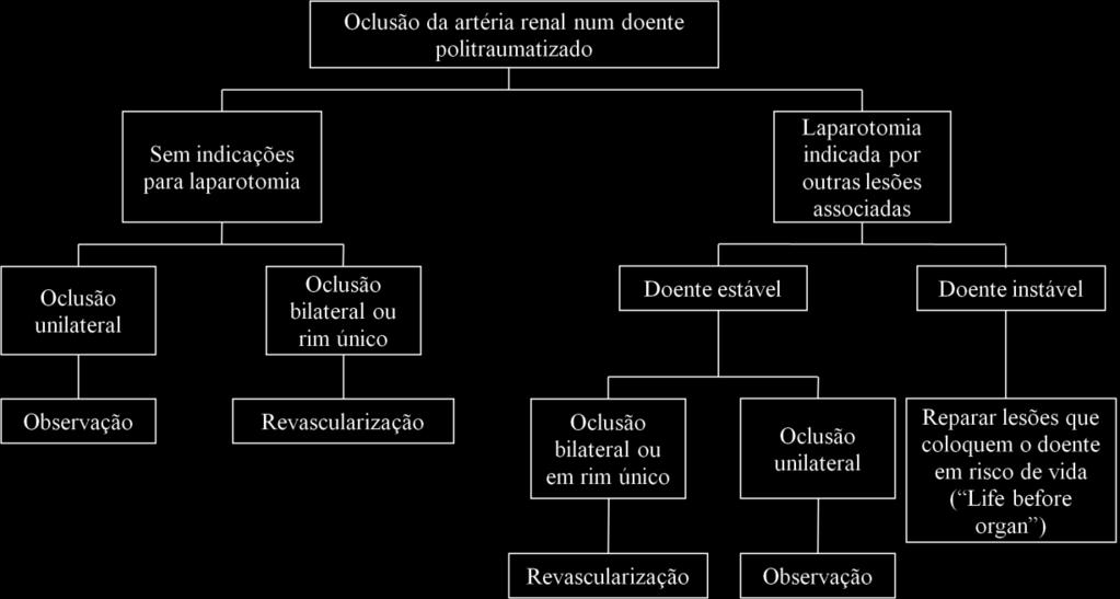 Fig. 11 Algoritmo de conduta terapêutica em casos de oclusão completa da artéria renal.
