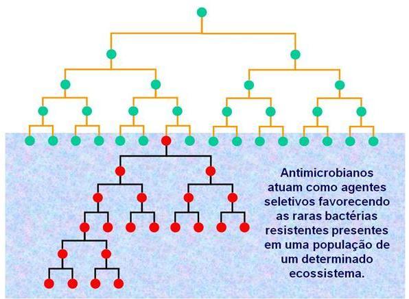 Resistência aos antimicrobianos Capacidade do microrganismo crescer na presença de uma droga, que, normalmente, limitaria o