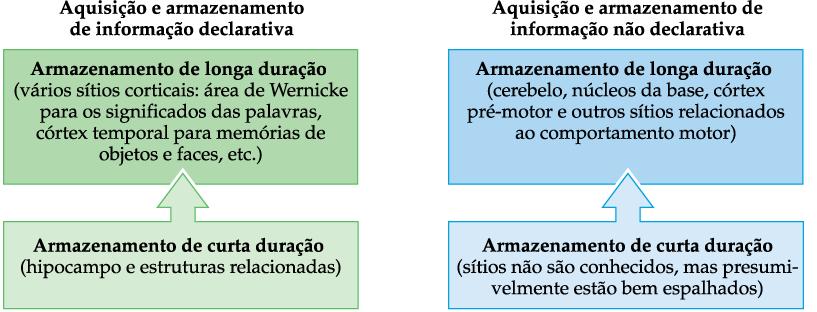 Diagrama resumido da aquisição e do armazenamento de