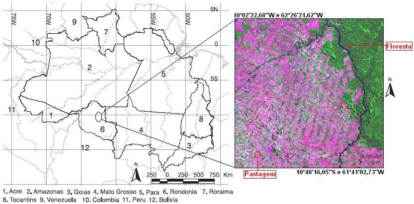 calor e de evaporação do solo. As características das variações diárias do balanço de radiação nas estações seca e chuvosa para o mesmo sítio foram avaliadas por (ANDRÉ et al., 1988).