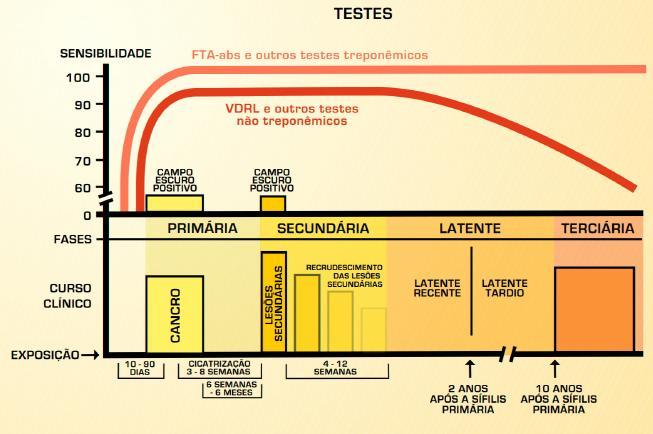 Relação entre os testes para diagnóstico da sífilis, as fases da