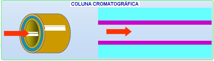 CG COLUNA FE COLUNA CAPILAR: A separação ocorre na coluna e duas fases são envolvidas: Fase