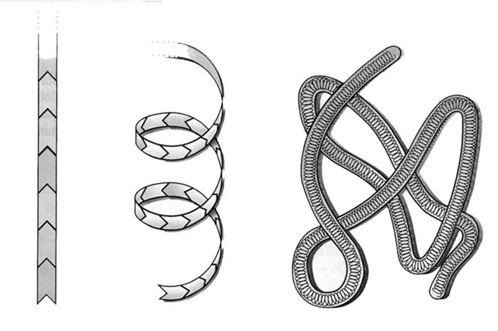 3. Proteínas Macromoléculas nitrogenadas de estrutura complexa, constituídas por combinações de aminoácidos, em proporções variadas. Após a água, componentes mais importantes dos tecidos vivos.