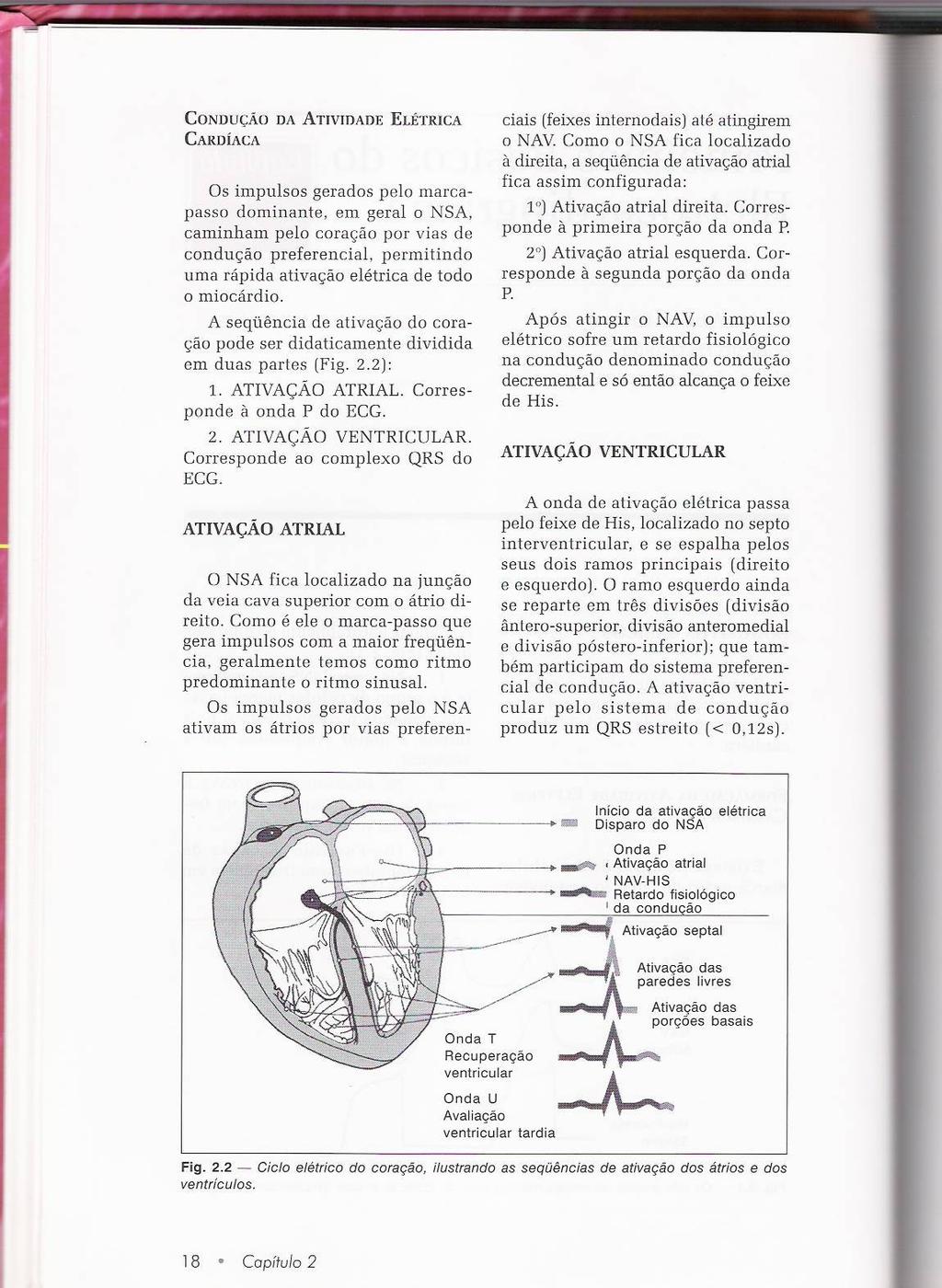 Interpretação do eletrocardiograma 3.