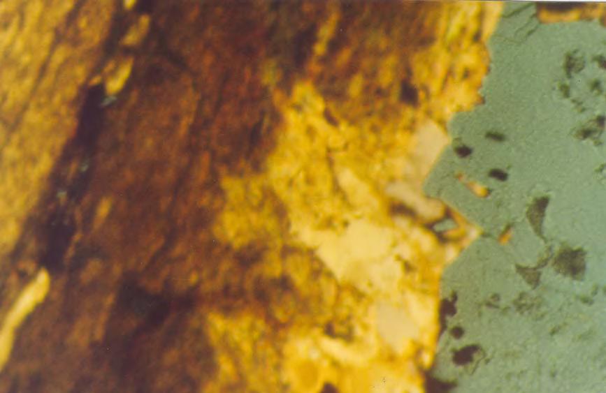 Filito Mica Branca Aspy 2 Foto 16-(MRO-25) Foto em luz transmitida e refletida onde na borda do filito aparacem vênulas de