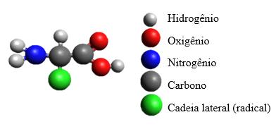 Figura 1. Estrutura básica de um aminoácido. Tanto as proteínas quanto os aminoácidos possuem suas classificações.