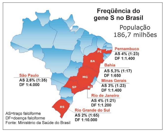 Fonte: Cançado, R.D.; Jesus, J.A.