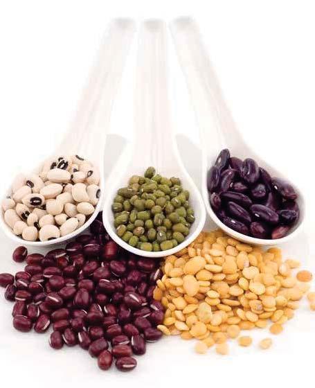 Choose Beans TRansition paths to