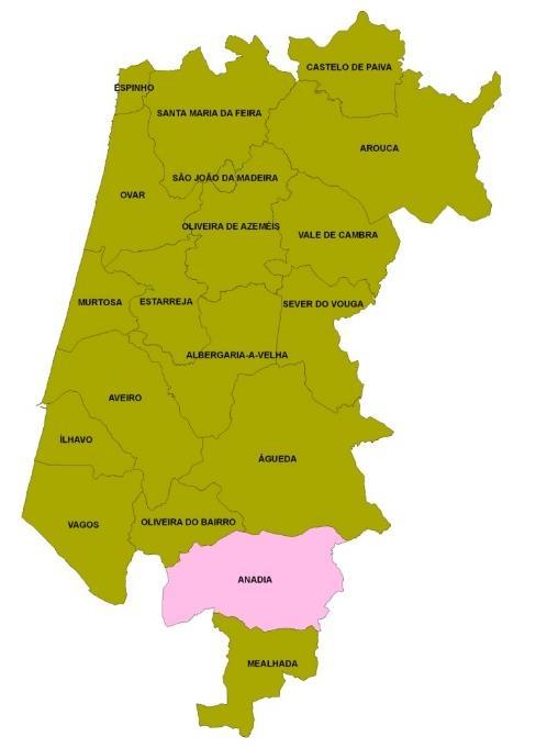 No território da Região de Aveiro, a cidade sede de distrito destaca-se como a área de influência regional mais abrangente, seguida de Águeda e Ovar, com influência sobre territórios de municípios