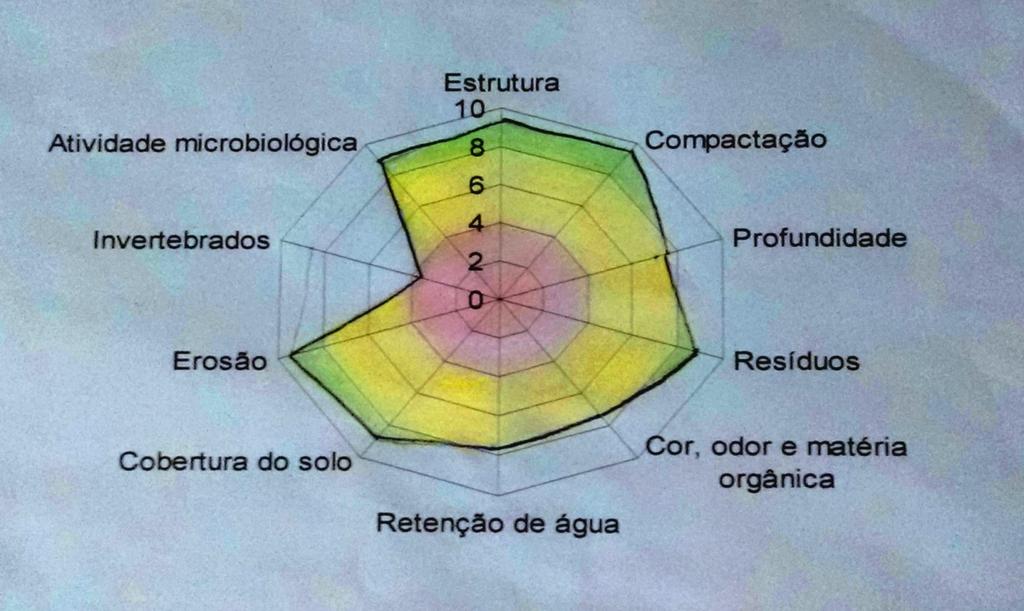 Figura 3.