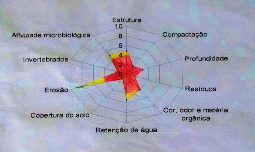 com utilização de esterco de gado e frango. Fonte: Arquivo pessoal. Figura 2.