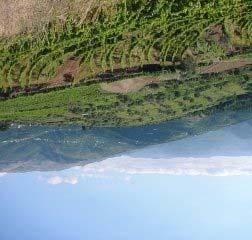 3. QUAL É A SITUAÇÃO ACTUAL A região abrangida pelo projecto, zona a Sul do Douro é uma zona essencialmente montanhosa e acidentada, com relevos baios e vales