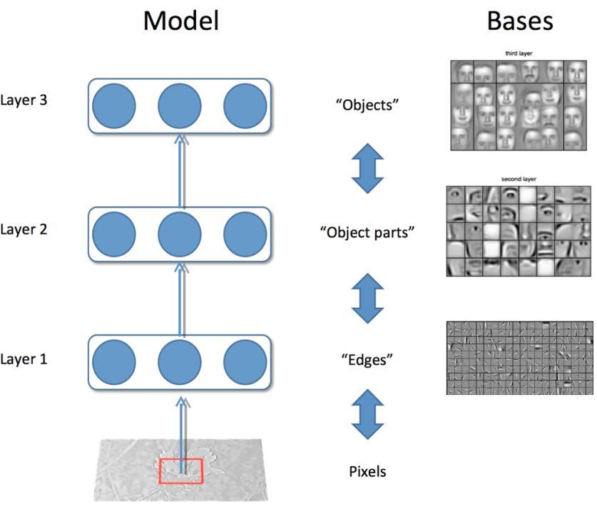 Modelo Características aprendidas da base Camada 3 Objetos Camada 2 Partes de objetos Camada 1 Contornos Pixels de entrada Figura 7.