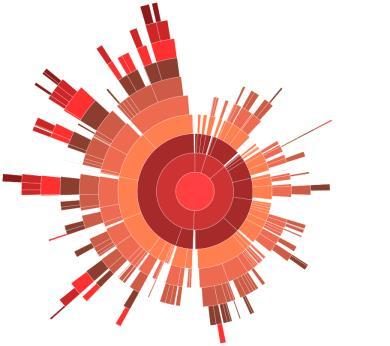 9. Sunburst: é um tipo de visualização radial utilizada para representar