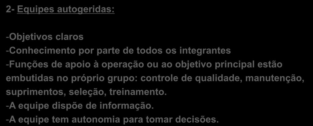 Decisão 2- Equipes autogeridas: Empowerment, Brainstorming e Gestão Participativa -Objetivos claros -Conhecimento por parte de todos os integrantes -Funções de apoio à operação ou ao