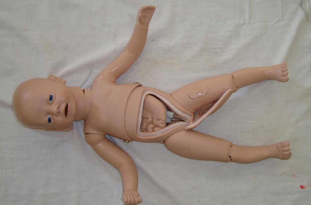 8 - Recém nascido para práticas de assistência médica Marca 3B Função: Manequim de recém nascido que permite praticar os cuidados fundamentais de bebes saudáveis ou enfermos.