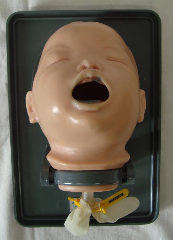5 - Cabeça de intubação de neonato Função: Permite a prática de intubação em um recém nascido. Características: - Simulação realista da anatomia das vias aéreas.
