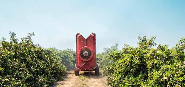 LEPROSE CONTROLE EFICIENTE USO DE 100 ML DE CALDA/M³ DE COPA PROPORCIONA MESMA PROTEÇÃO DO QUE VOLUMES MAIORES E REDUZ CUSTOS ADEQUAÇÃO PERMITE ECONOMIA DE ÁGUA, ACARICIDA, DIESEL E MÃO DE OBRA E