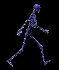 Osteoporose O pico de massa óssea relaciona-se ao consumo de cálcio e prática de AF.