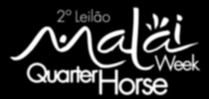 2º Malai Horse