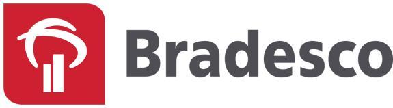 FORMULÁRIO DE INFORMAÇÕES COMPLEMENTARES BRADESCO FUNDO DE INVESTIMENTO MULTIMERCADO TEAM 03.553.