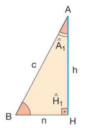 H 1 H 2 (ângulos retos) A 1 B ( complemento do ângulo B ) HBA ~ HAC Daí, tempos a proporção h m = n h Dessa proporção,