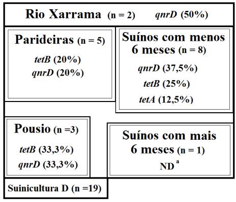provenientes de suiniculturas de produção intensiva e extensiva de Portugal Figura 7 - Ilustração da ocorrência e distribuição de genes